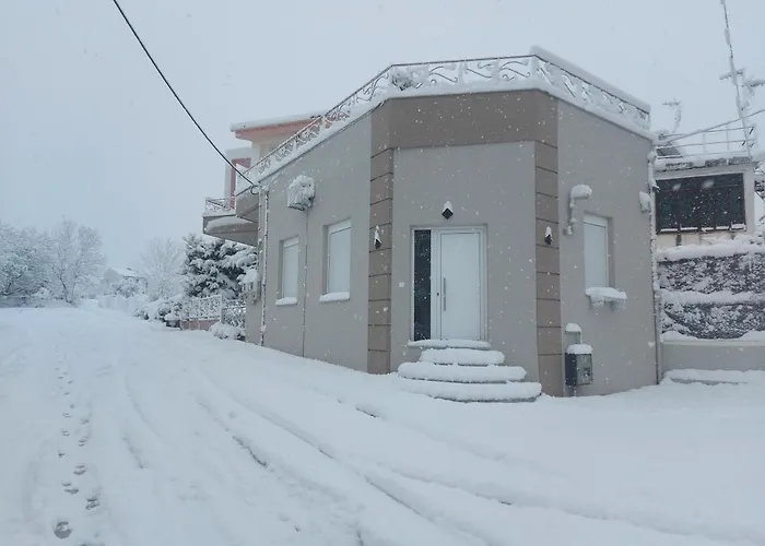 Lefis House